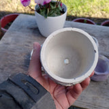 Ancient architecture succulent planters x 3