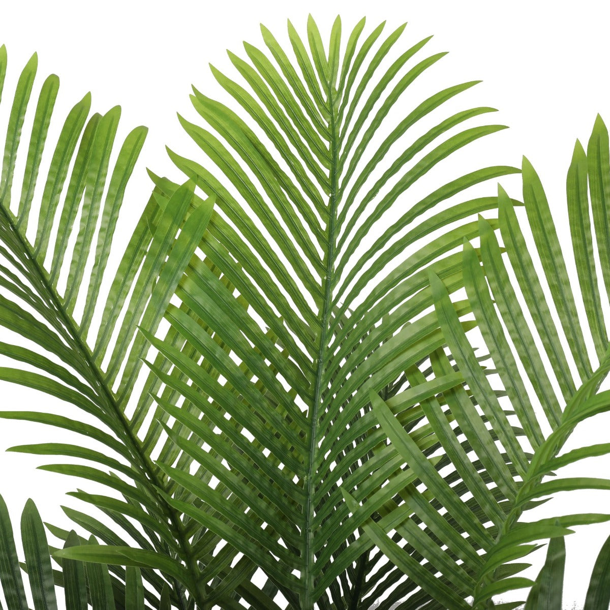 Artificial Trees: Premium Artificial Areca Palm Tree Real Touch 160cm