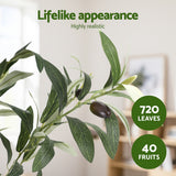 Artificial Trees: Artiss 180cm Artificial Olive Tree Faux Trees Indoor Decor Artificial Plants Lifelike Plant 1.8M