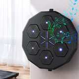 Boxing & Martial Arts: Everfit Music Boxing Machine Bluetooth Target Punching USB Chargeable Home Gym