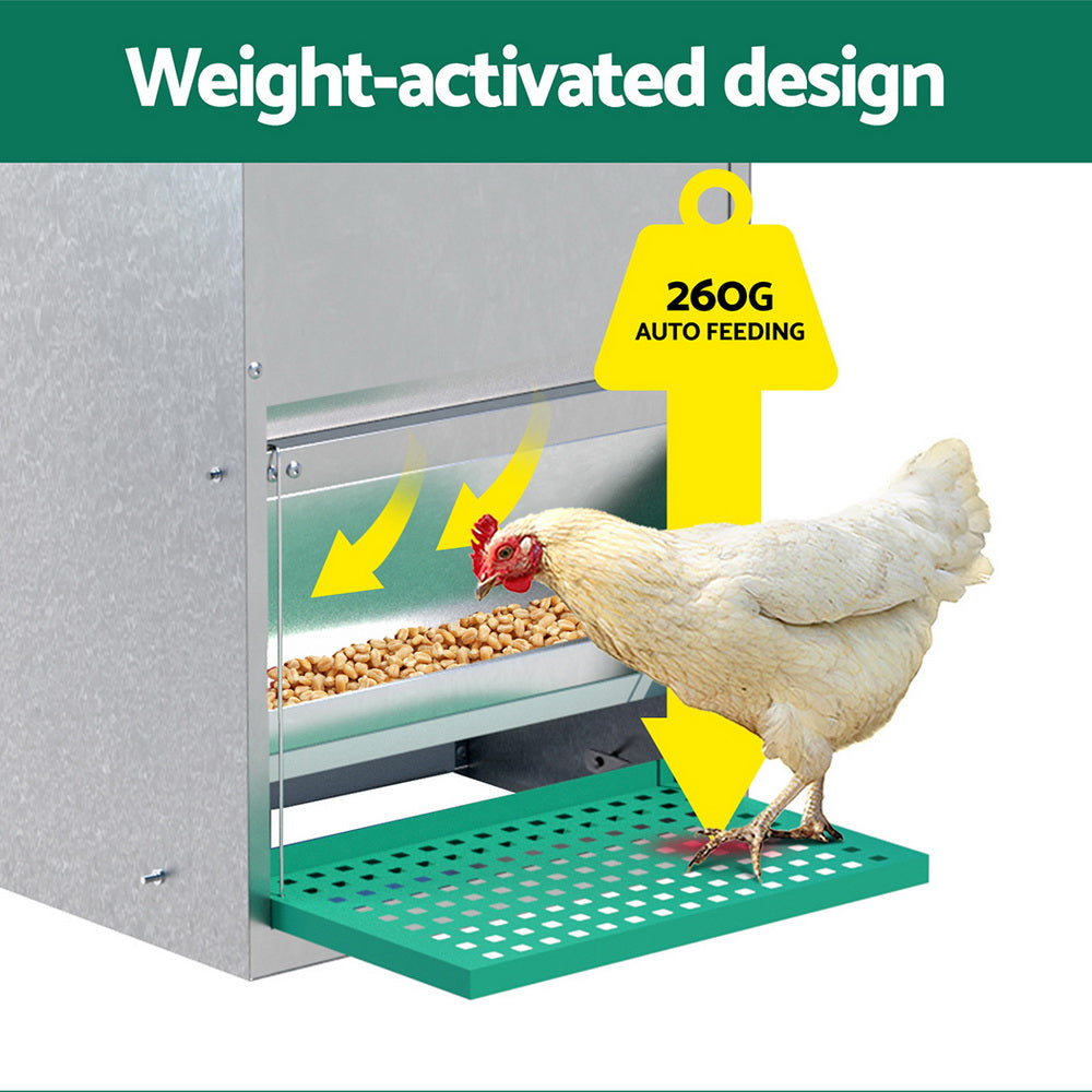 Farm Equipment: Giantz Automatic Chicken Feeder Port Coop Chick Poultry Treadle Self Opening