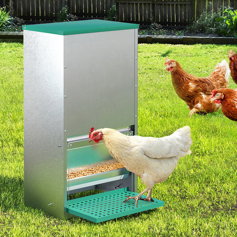 Farm Equipment: Giantz Automatic Chicken Feeder Port Coop Chick Poultry Treadle Self Opening