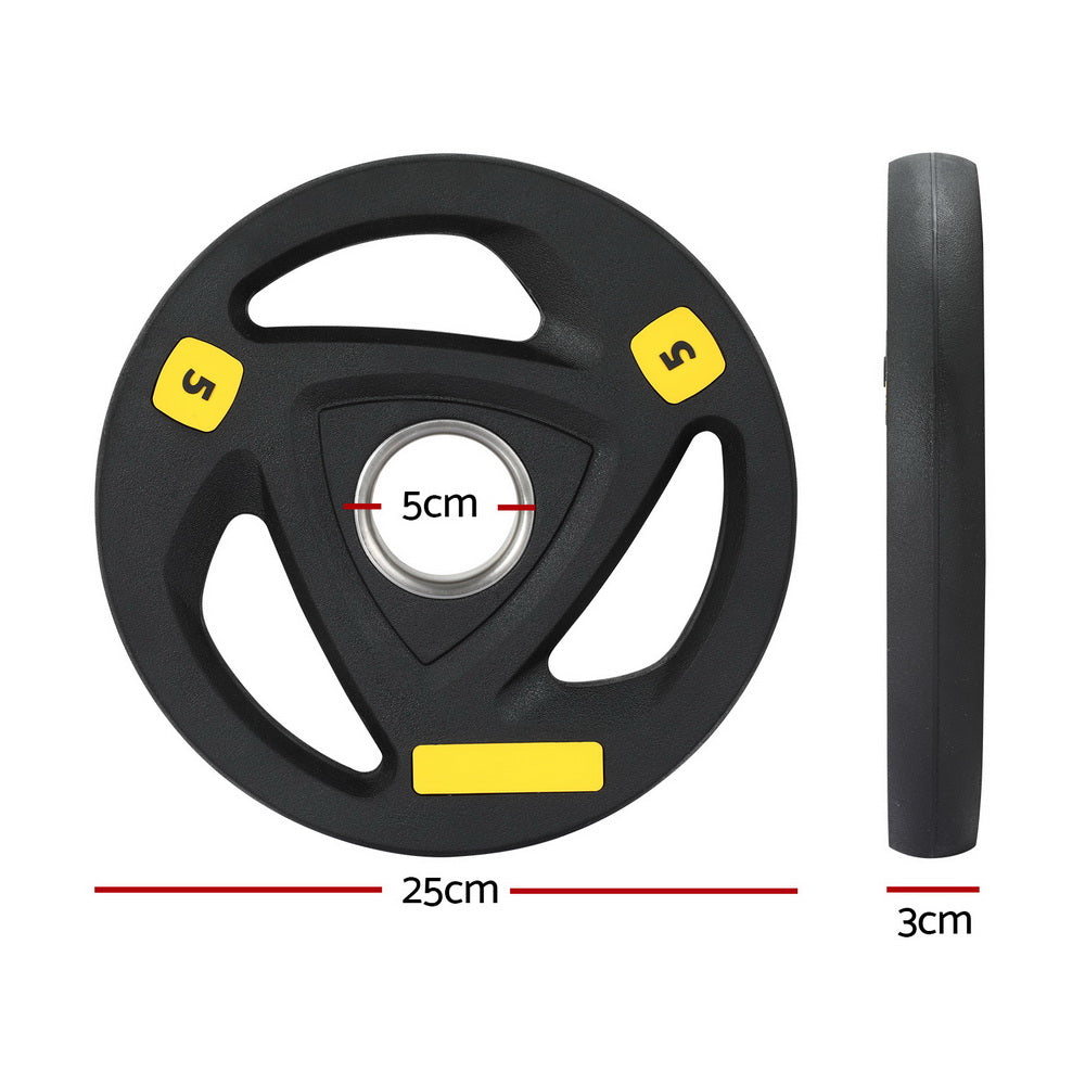 Free Weights: Everfit Weight Plates Olympic 5kg Dumbbells Barbells Plate Weight Lifting Home