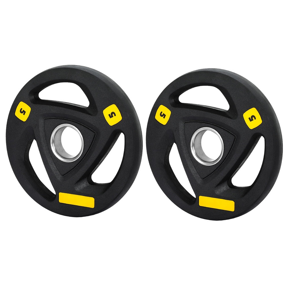 Free Weights: Everfit Weight Plates Olympic 5kgx2 Dumbbells Barbells Plate Weight Lifting Home
