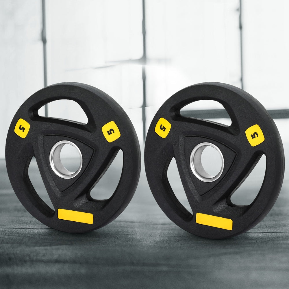 Free Weights: Everfit Weight Plates Olympic 5kgx2 Dumbbells Barbells Plate Weight Lifting Home