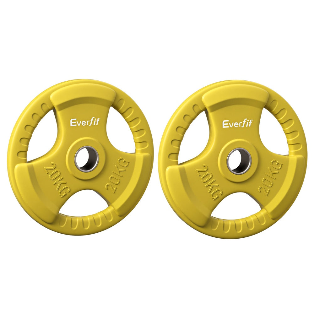 Free Weights: Everfit Weight Plates Olympic 20kgx2 Dumbbell Barbell Plate Weight Lifting Home Gym Yellow