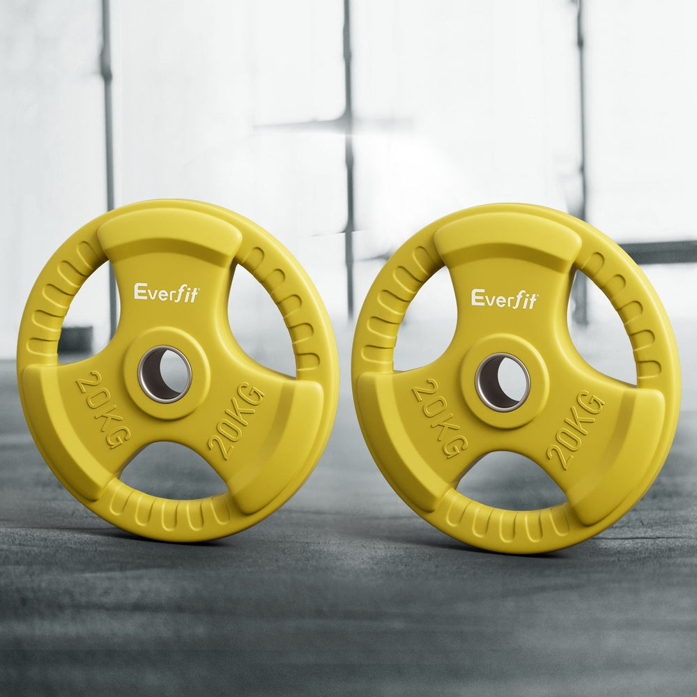 Free Weights: Everfit Weight Plates Olympic 20kgx2 Dumbbell Barbell Plate Weight Lifting Home Gym Yellow