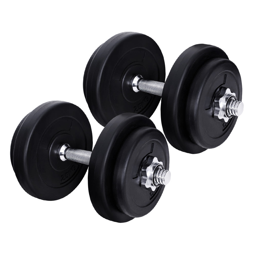 Free Weights: Everfit 20kg Dumbbell Set Weight Plates Dumbbells Lifting Bench