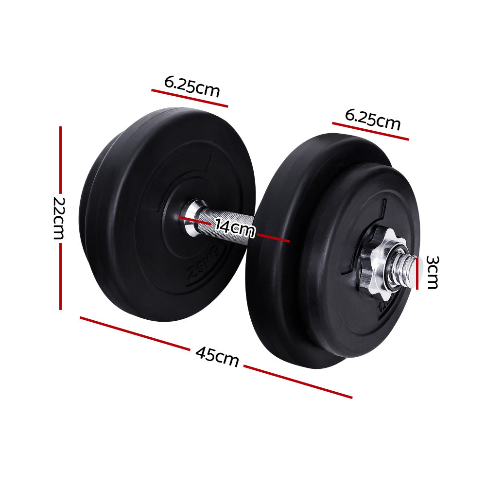 Free Weights: Everfit 20kg Dumbbell Set Weight Plates Dumbbells Lifting Bench