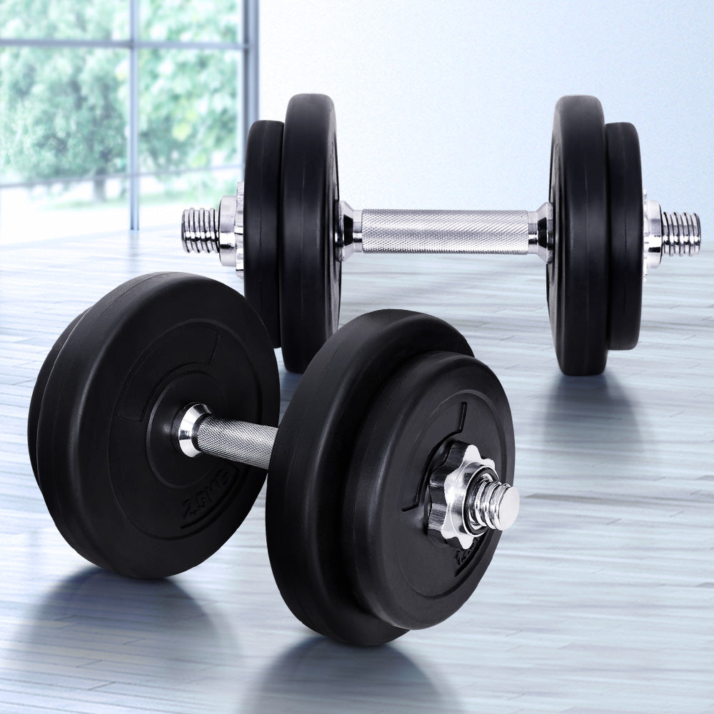 Free Weights: Everfit 20kg Dumbbell Set Weight Plates Dumbbells Lifting Bench
