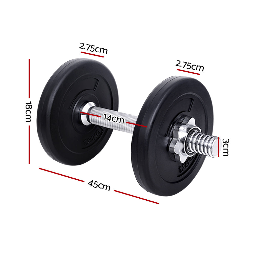 Free Weights: Everfit 10kg Dumbbell Set Weight Plates Dumbbells Lifting Bench
