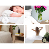 Artiss 2X Bedside Table 2 Drawers with Shelf - TARA Oak