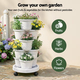 Garden Beds & Planters: Green Fingers 5 Tier Vertical Garden Planter, Stackable Planters with Wheels, White, Garden Bed, Garden Tower Indoor Outdoor, Auto Drainage System, for Strawberries, Herbs, Flowers, Vegetables