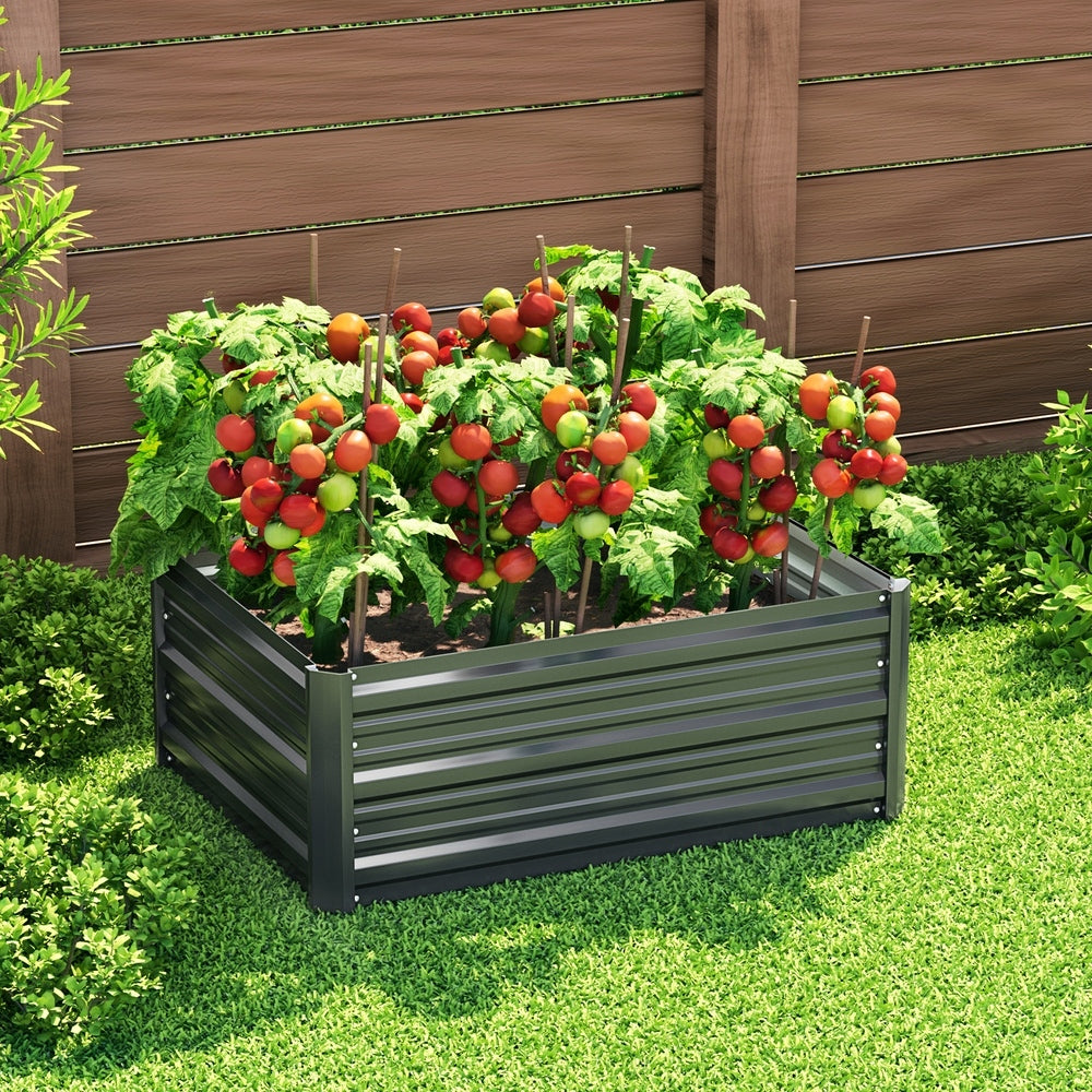 Greenhouses & Accessories: Green Fingers Garden Bed 80X60X30cm Planter Box