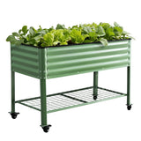 Garden Beds & Planters: Green Fingers Elevated Raised Garden Bed Kit Mobile w/ Locking Wheels & Storage Shelf 100KG Max Load 115x60x81cm | Galvanized Steel, Portable Green Organizer for Seniors, Patio, Balcony, Vegetables