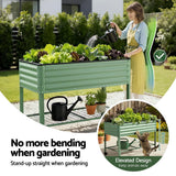 Garden Beds & Planters: Green Fingers Elevated Raised Garden Bed Kit Mobile w/ Locking Wheels & Storage Shelf 100KG Max Load 115x60x81cm | Galvanized Steel, Portable Green Organizer for Seniors, Patio, Balcony, Vegetables