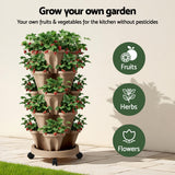 Garden Beds & Planters: Green Fingers Garden Bed 5 Tier Vertical Garden Grey Strawberry Stackable Planters Herb Petunias Tan