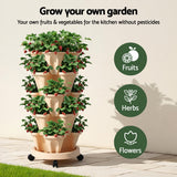Garden Beds & Planters: Green Fingers Garden Bed 5 Tier Vertical Garden Grey Strawberry Stackable Planters Herbs Beige