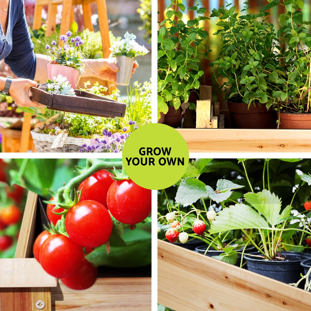 Garden Beds & Planters: Green Fingers Garden Bed Elevated 120x60x80cm Wooden Planter Box Raised Container