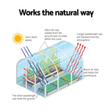 Greenhouses & Accessories: Green Fingers Greenhouse 4 Tiers Mini Green House Garden Bed 1.6x0.7x0.5M