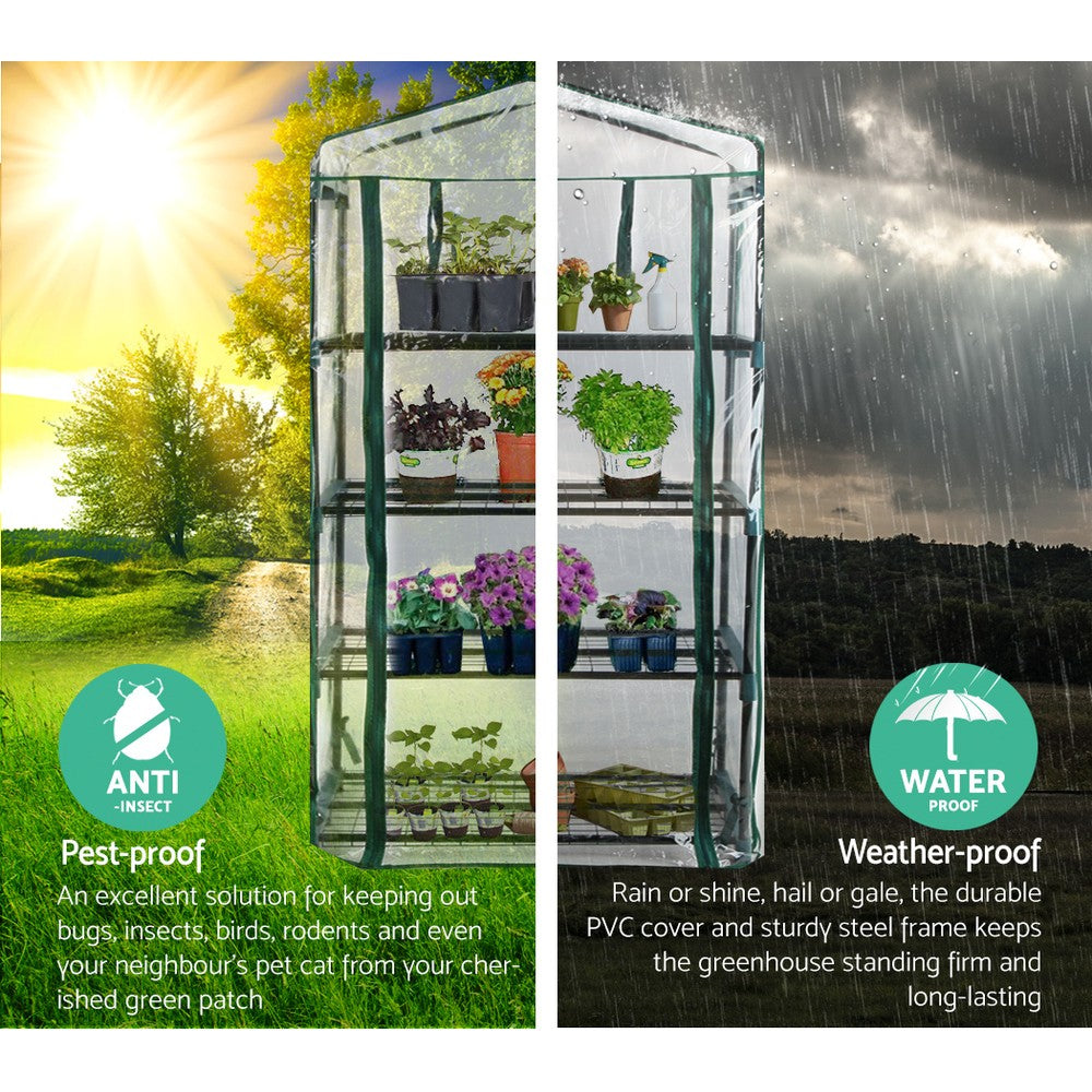 Greenhouses & Accessories: Green Fingers Greenhouse 4 Tiers Mini Green House Garden Bed Planter Box 1.6x0.7x0.5M