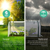 Greenhouses & Accessories: Green Fingers Mini Greenhouse PE Cover Green House Roll-Up Zippered Door 1.2x0.5x0.6M