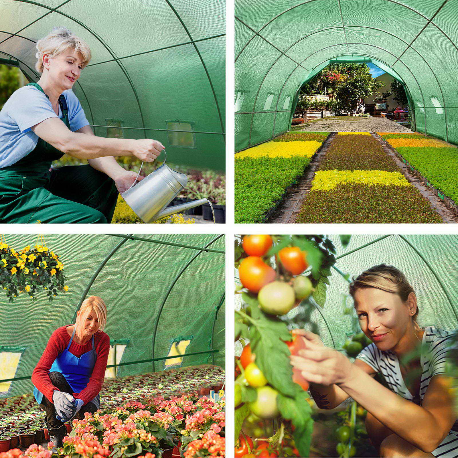 Greenhouses & Accessories: Green Fingers Greenhouse 6x3x2M Walk in Green House Tunnel Plant Garden Shed Dome