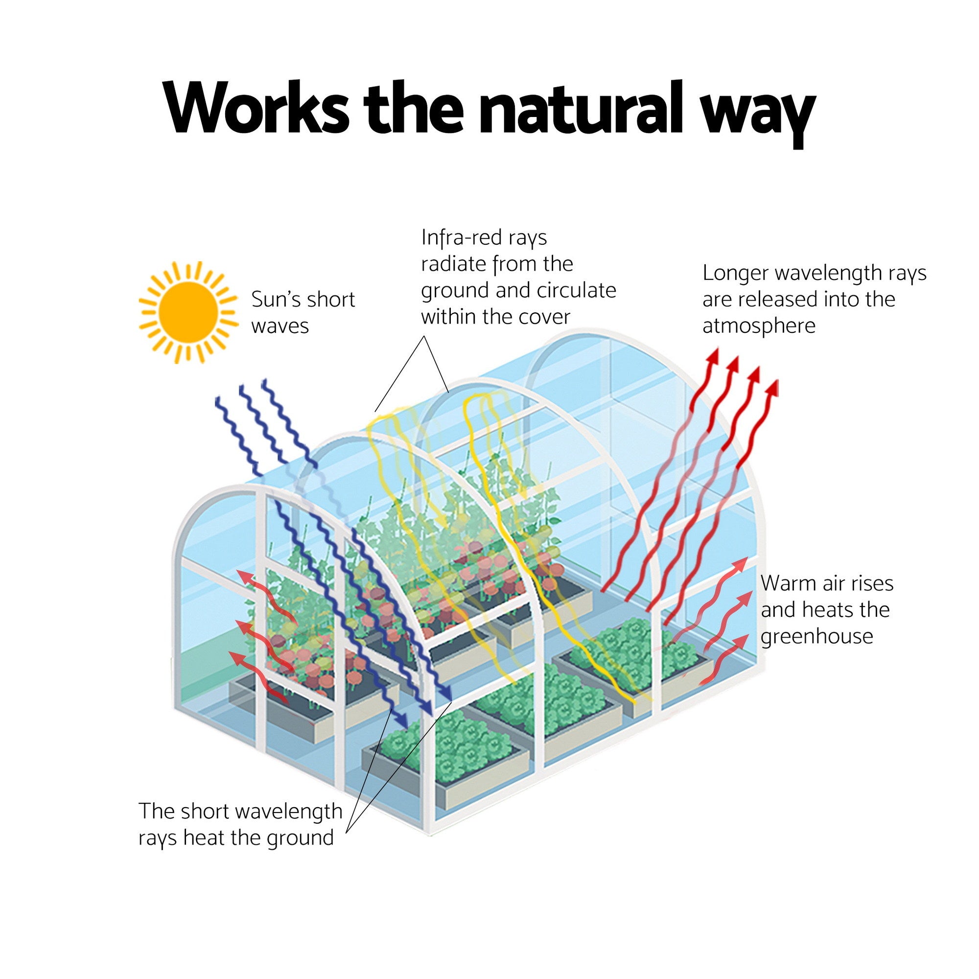 Greenhouses & Accessories: Green Fingers Greenhouse 3x2x2M Walk in Green House White