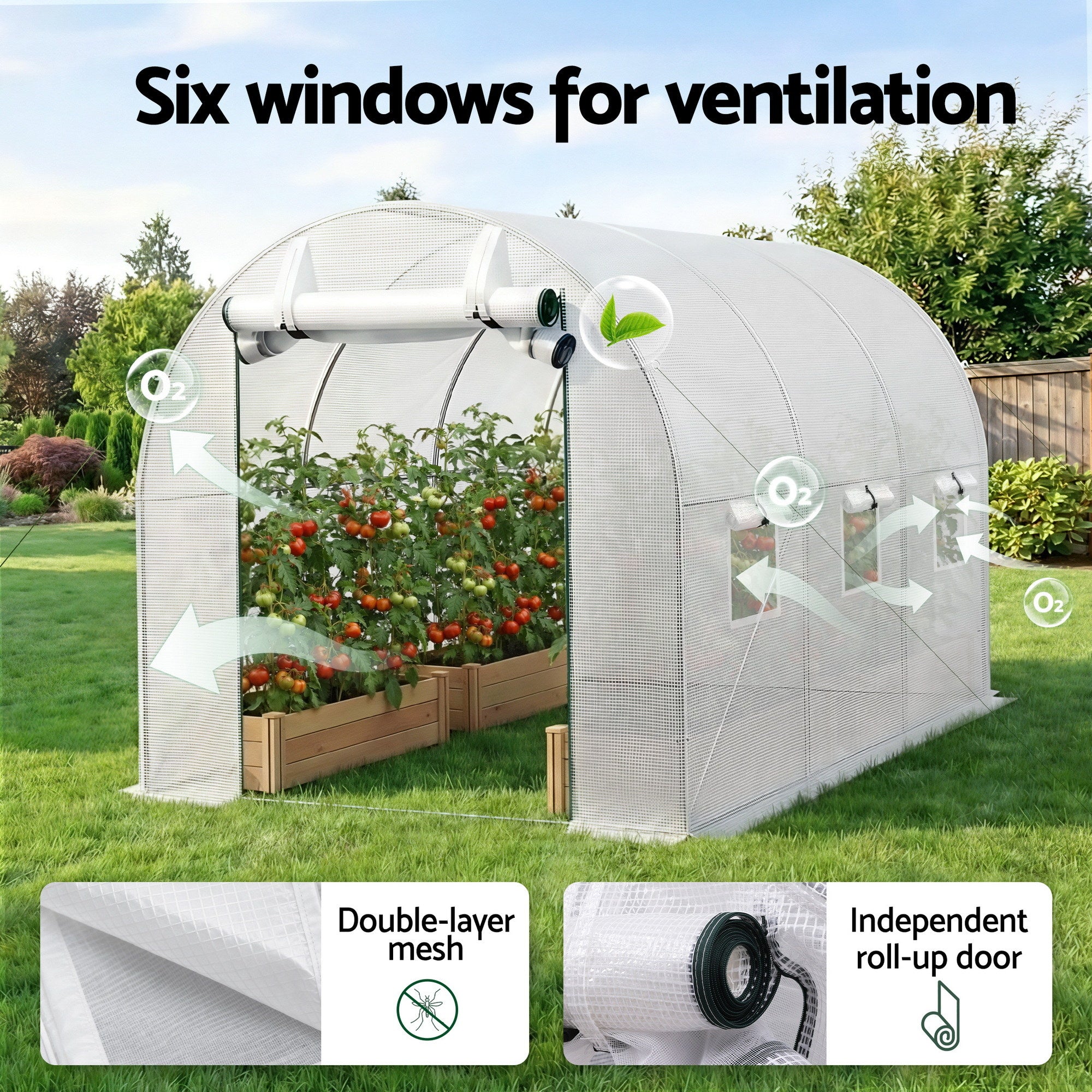 Greenhouses & Accessories: Green Fingers Greenhouse 3x2x2M Walk in Green House White