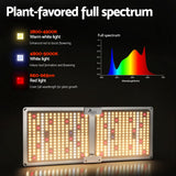 Greenhouses & Accessories: Greenfingers Max 220W Grow Light LED Full Spectrum Indoor Plant All Stage Growth