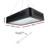 Greenhouses & Accessories: Green Fingers 600W Grow Light LED Full Spectrum Indoor Plant All Stage Growth