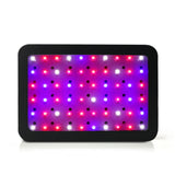 Greenhouses & Accessories: Green Fingers 600W Grow Light LED Full Spectrum Indoor Plant All Stage Growth