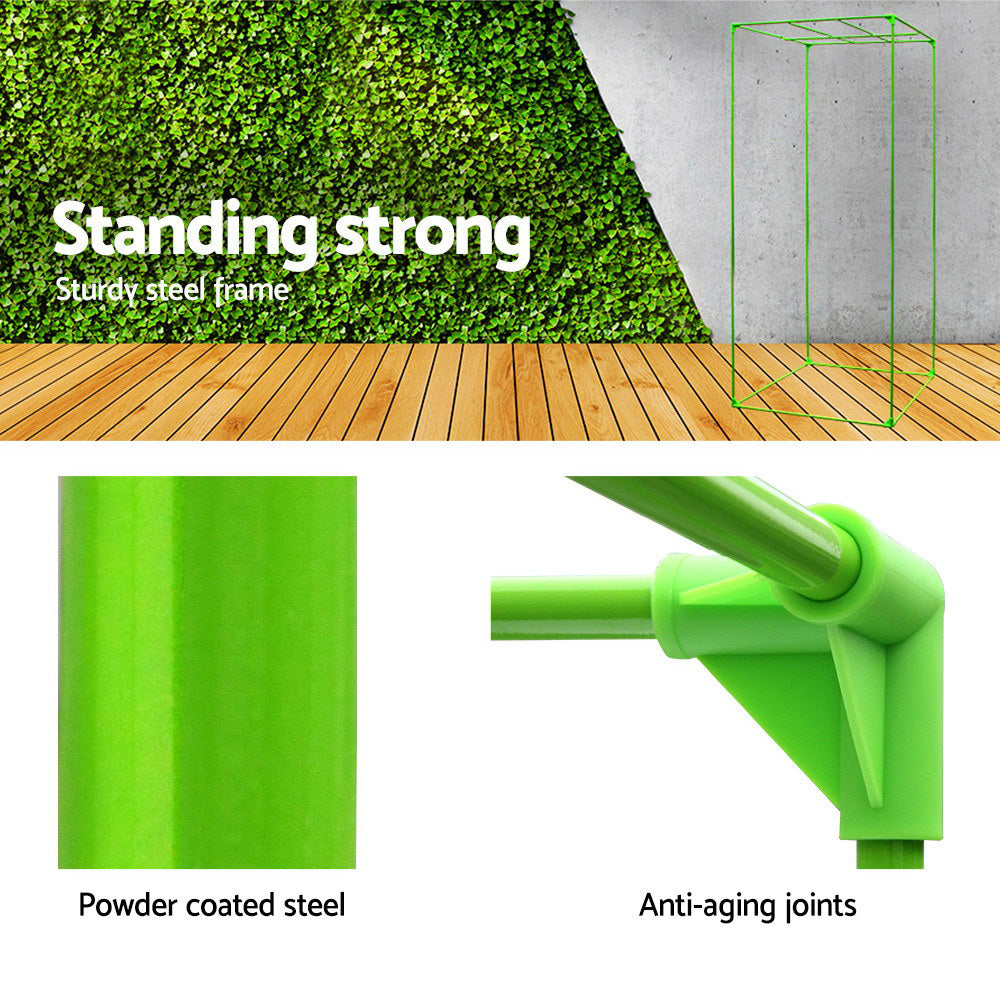 Greenhouses & Accessories: Green Fingers Grow Tent 60x60x140CM Hydroponics Kit Indoor Plant Room System