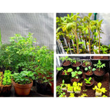 Greenhouses & Accessories: Green Fingers Grow Tent 60x60x90CM Hydroponics Kit Indoor Plant Room System