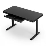 Desks: Artiss Electric Standing Desk Motorised Glass Top Black 120CM