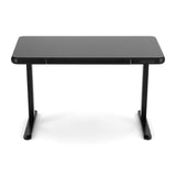 Desks: Artiss Electric Standing Desk Motorised Glass Top Black 120CM
