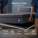 Levitex 34 cm Pocket Spring Mattress with Reinforced Edge Support & 5-Zone Pressure Relief Breathable Gel Memory Foam Hybrid Mattress for Back Pain king