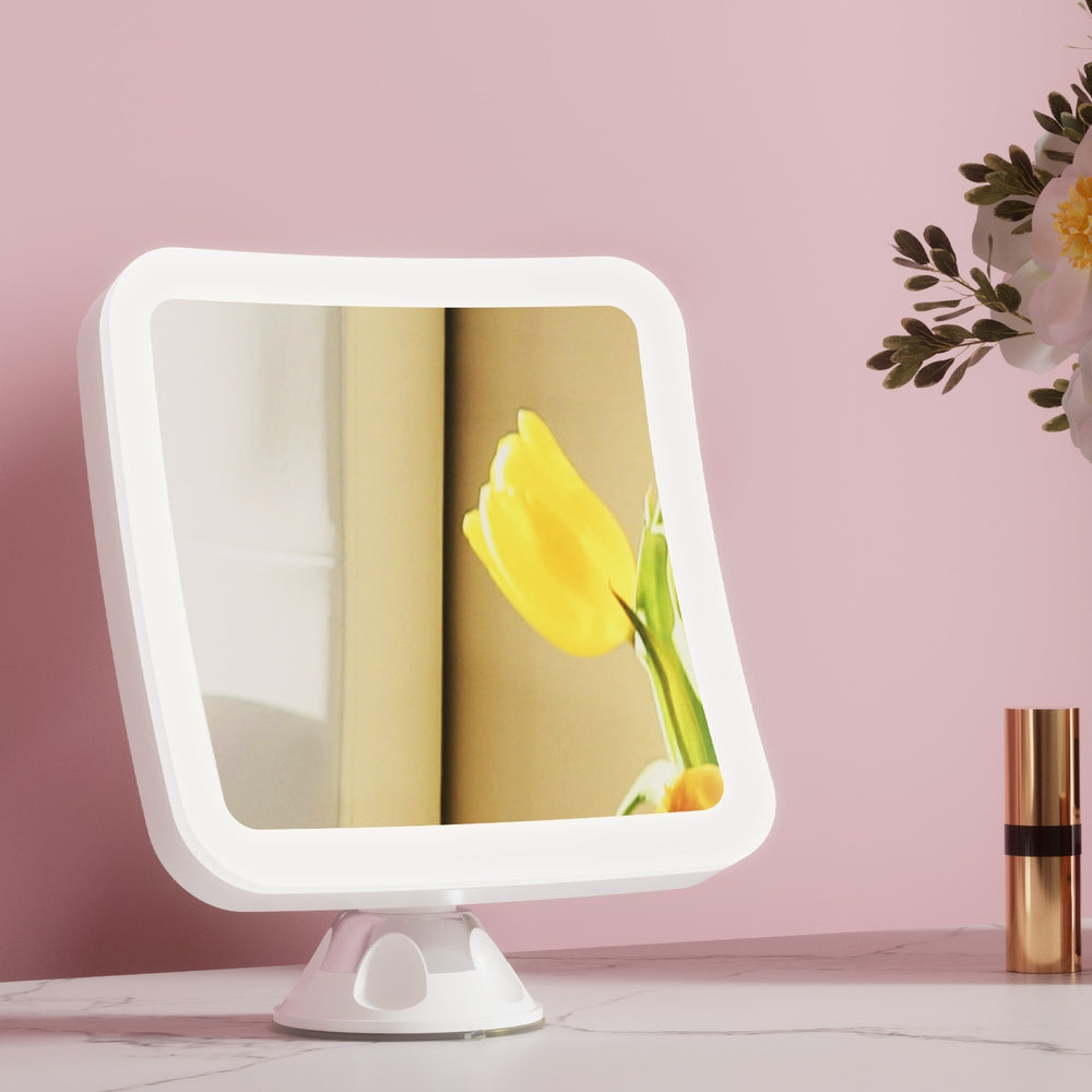 Makeup Mirrors: Embellir Makeup Mirror 10X Magnification LED Light Adjustable Rotation Cordless Suction Cup