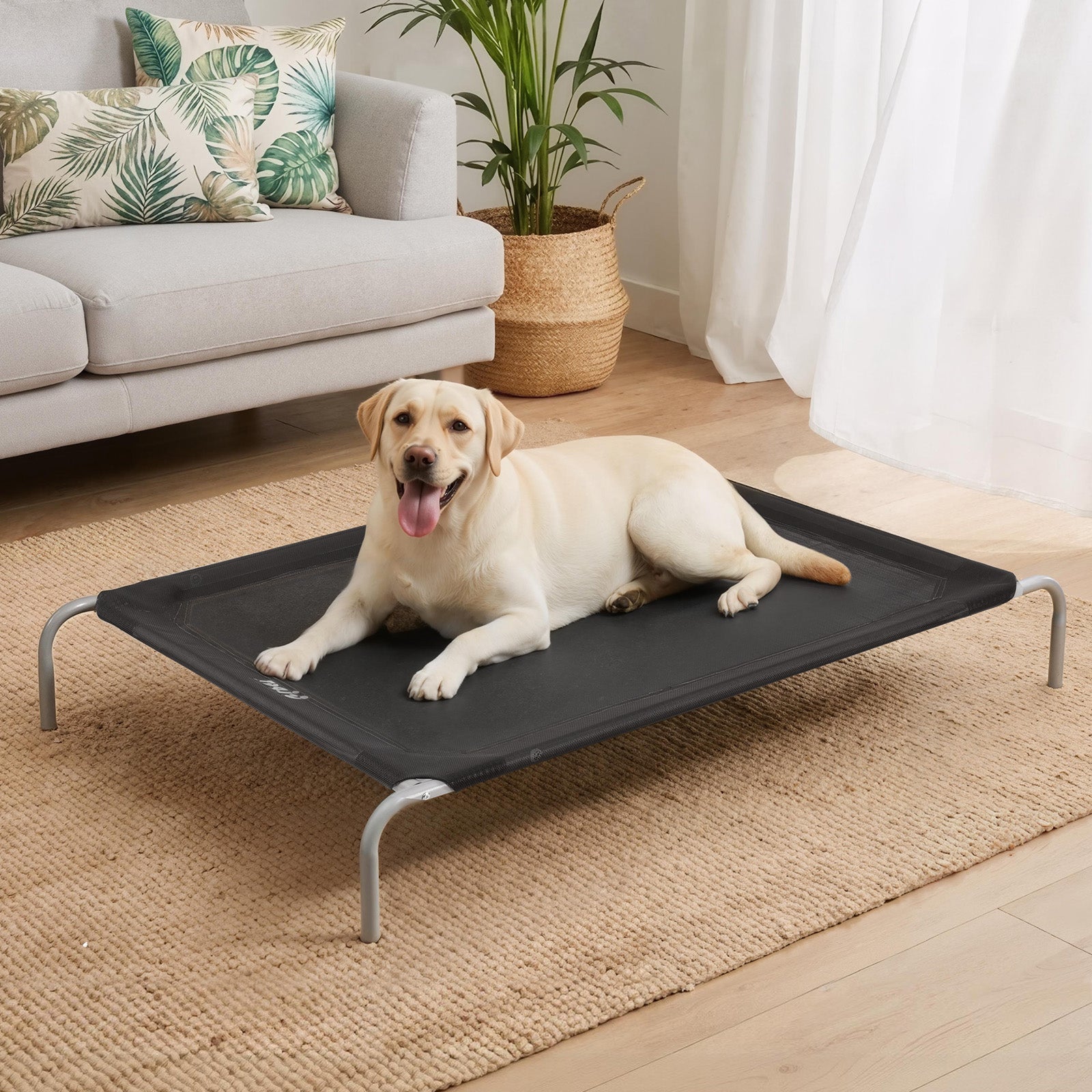 Dog Beds: i.Pet Pet Dog Bed Elevated Trampoline Durable Raised Heavy Duty Large Dogs 90x137cm Black