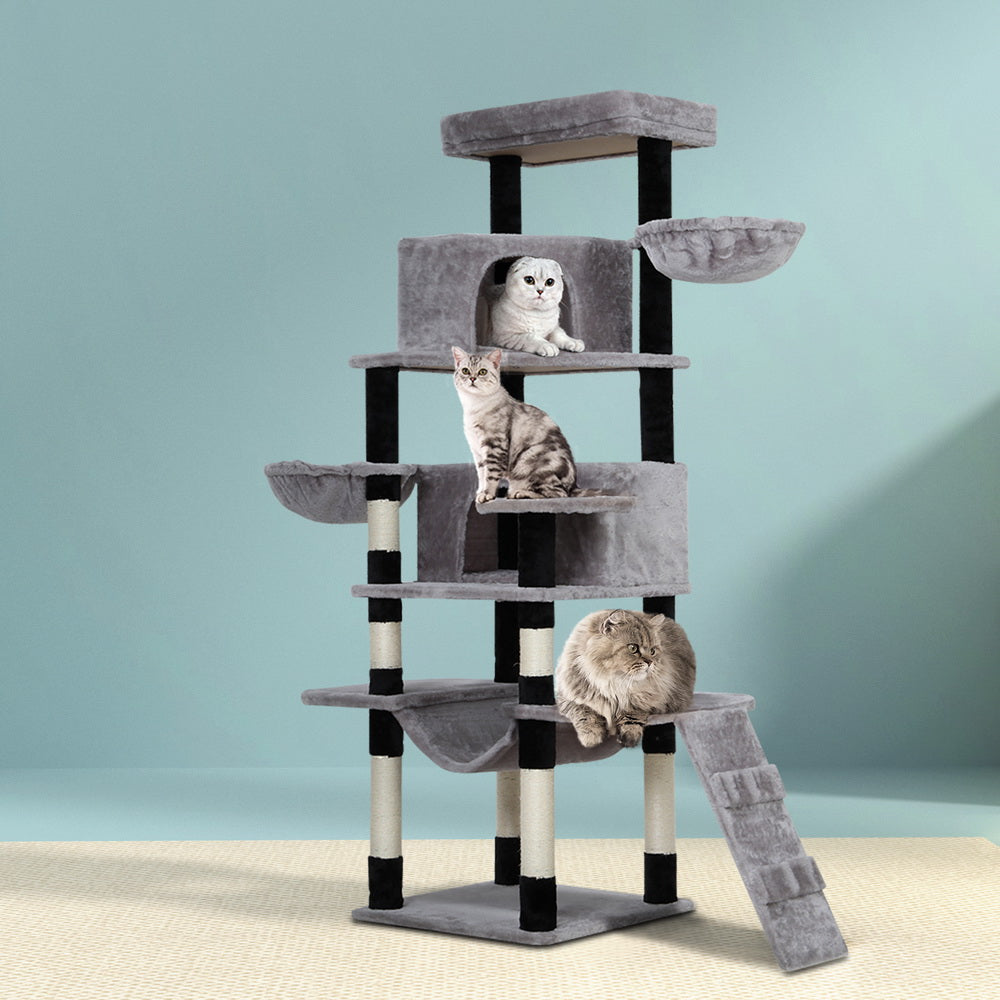 Cat Scratching Posts: i.Pet Cat Tree 161cm Tower Scratching Post Scratcher Wood Condo House Play Bed