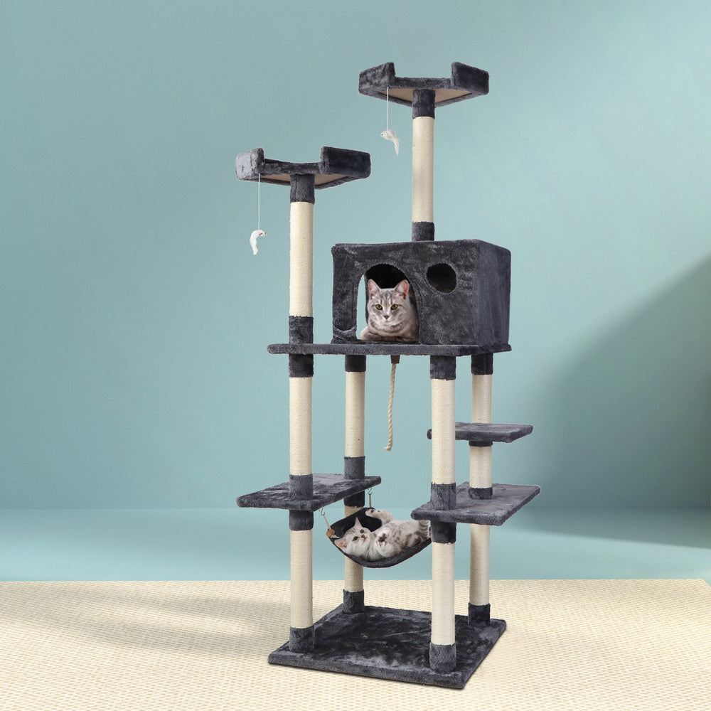 Cat Scratching Posts: i.Pet Cat Tree 184cm Tower Scratching Post Scratcher Wood Trees Condo Bed House