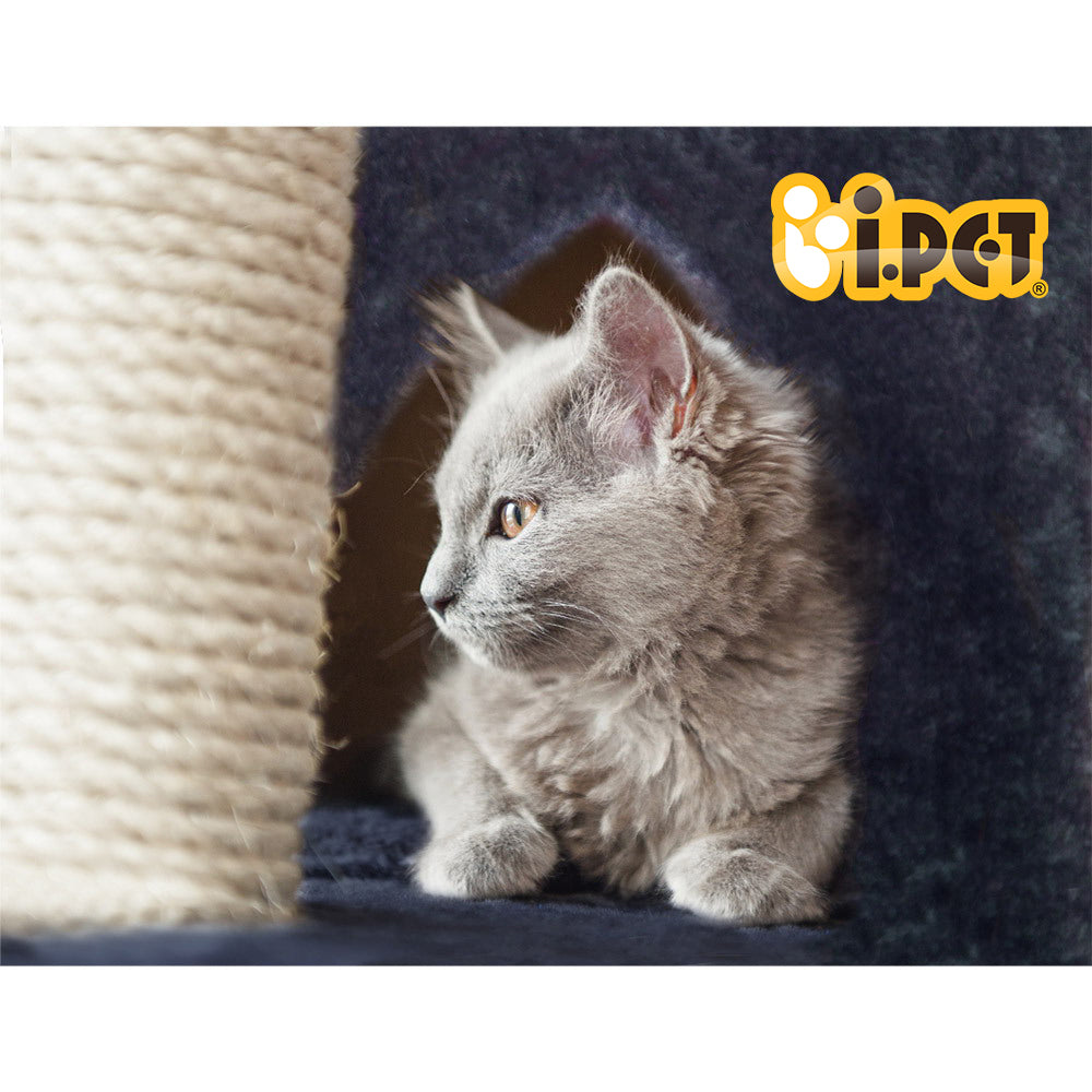 Cat Scratching Posts: i.Pet Cat Tree 244cm Tower Scratching Post Scratcher Trees Condo House Grey