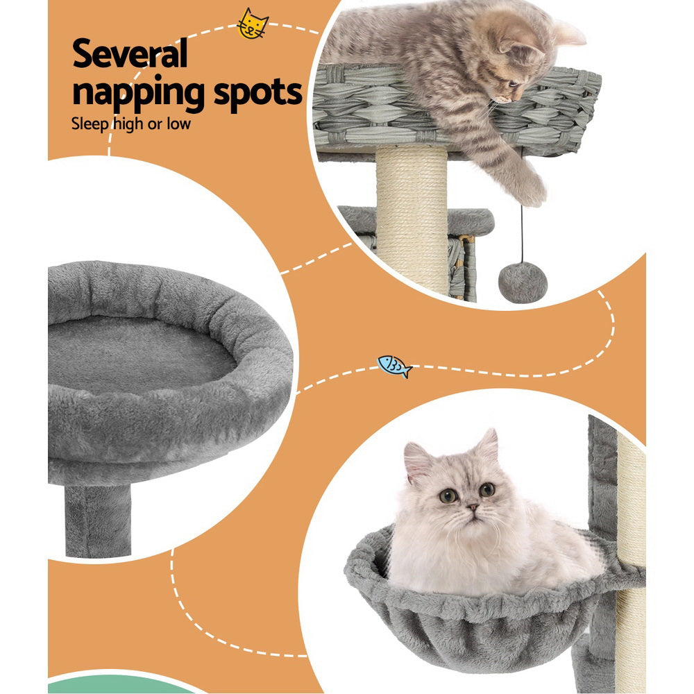 Cat Scratching Posts: i.Pet Cat Tree 169cm Tower Scratching Post Scratcher Wood Bed Condo House Rattan Ladder