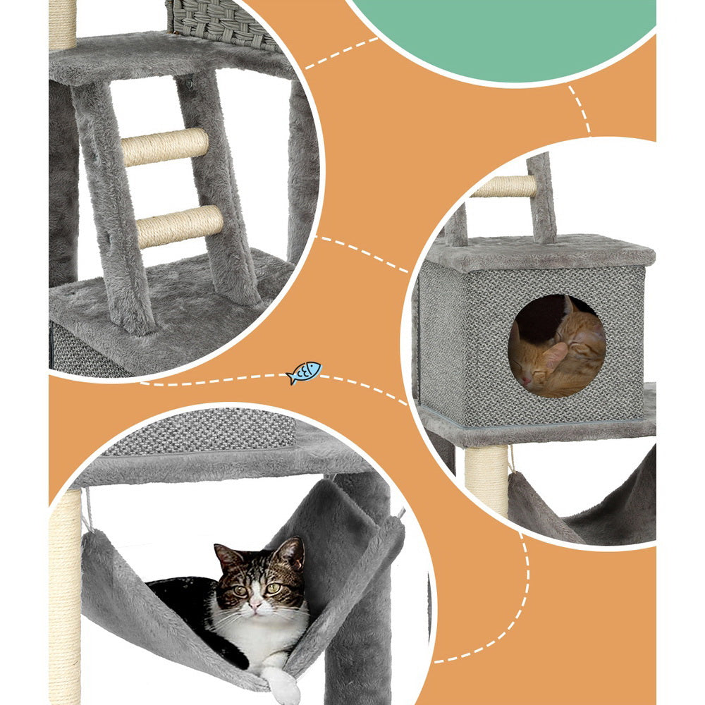 Cat Scratching Posts: i.Pet Cat Tree 169cm Tower Scratching Post Scratcher Wood Bed Condo House Rattan Ladder