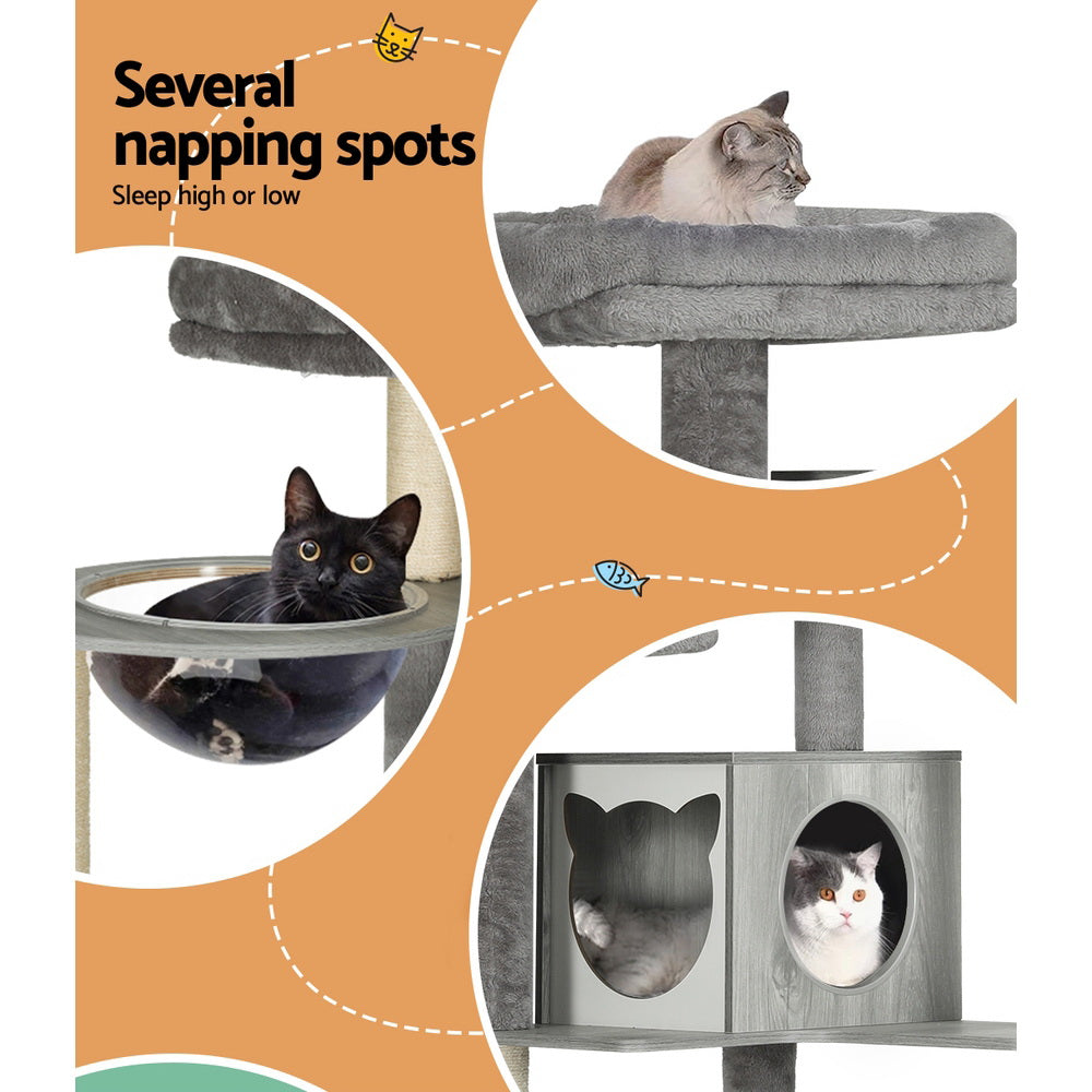 Cat Scratching Posts: i.Pet Cat Tree 178cm Tower Scratching Post Scratcher Wood Bed Condo House Wooden Ladder