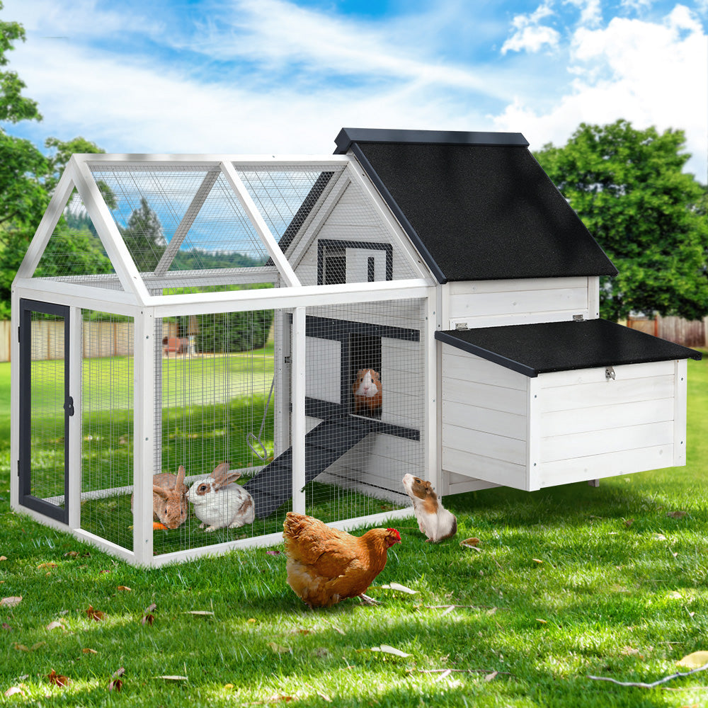 Small Animal Habitats & Cages: i.Pet Chicken Coop Rabbit Hutch 166cm x 120cm x 112cm Large Chicken Coop House Run Cage Wooden