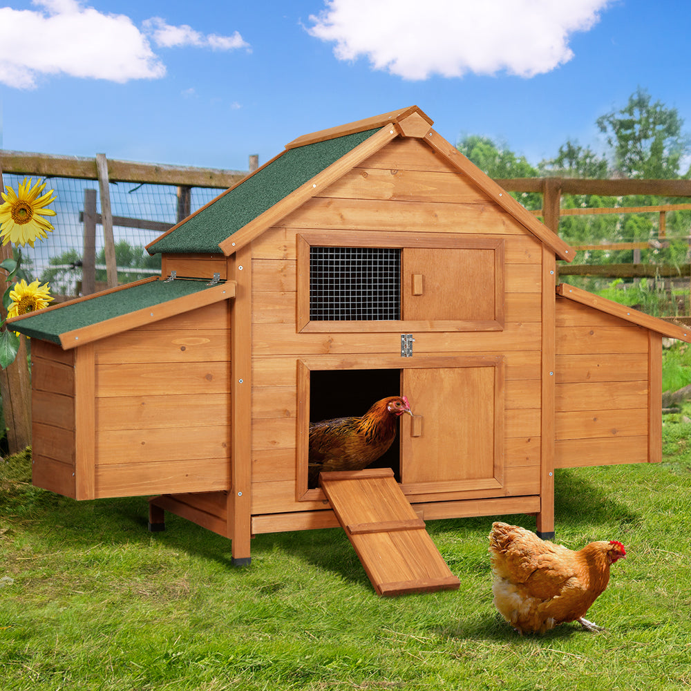 Small Animal Habitats & Cages: i.Pet Chicken Coop Rabbit Hutch 150cm x 68cm x 96cm Large Chicken Coop House Run Cage Wooden