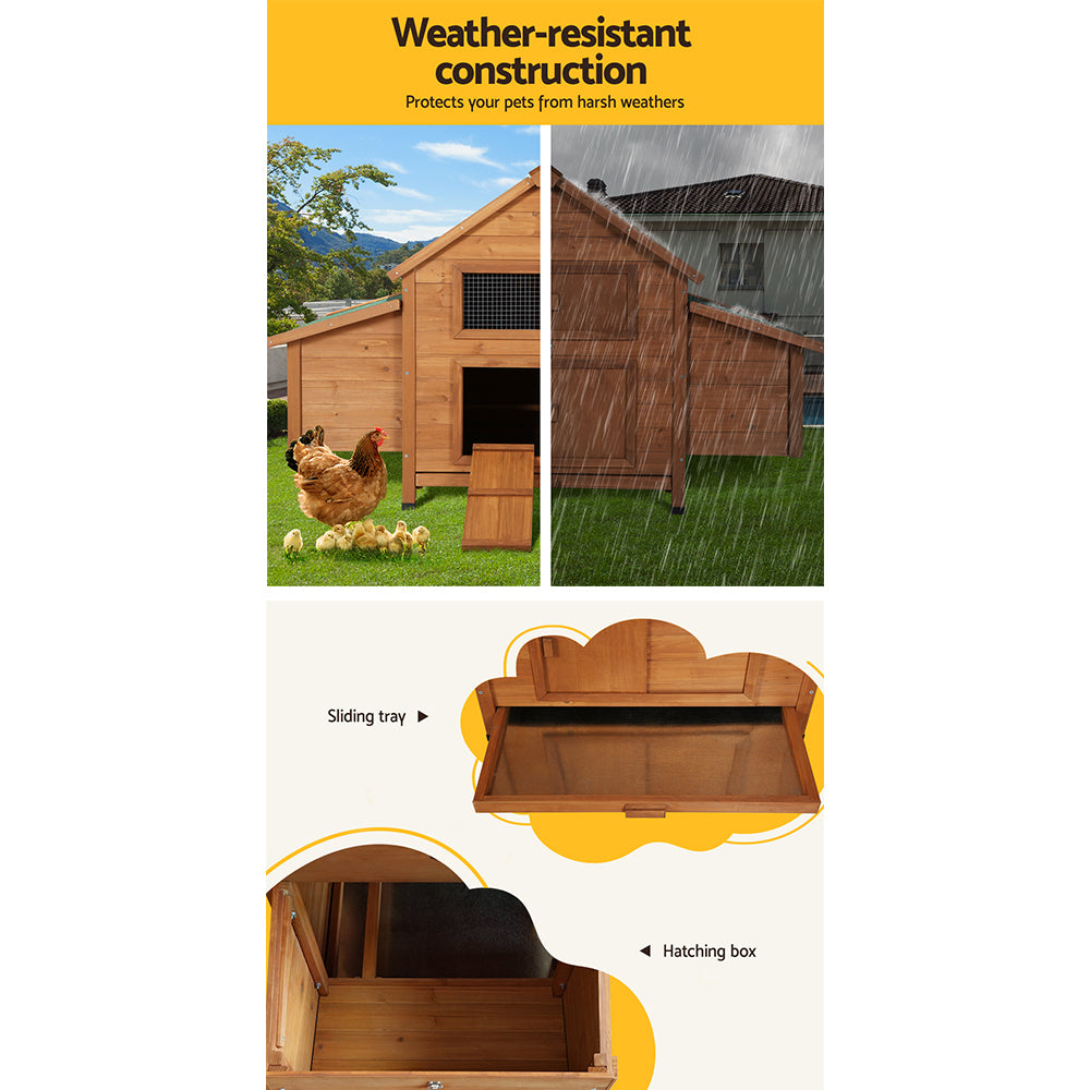Small Animal Habitats & Cages: i.Pet Chicken Coop Rabbit Hutch 150cm x 68cm x 96cm Large Chicken Coop House Run Cage Wooden