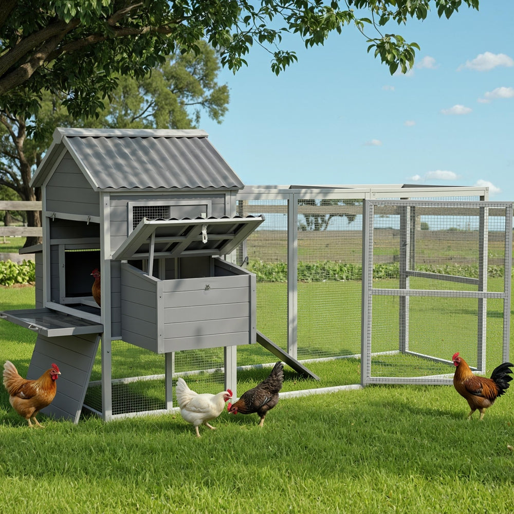Small Animal Habitats & Cages: i.Pet Chicken Coop Rabbit Hutch Extra Large Wooden Run Bunny Cage Poultry House Outdoor