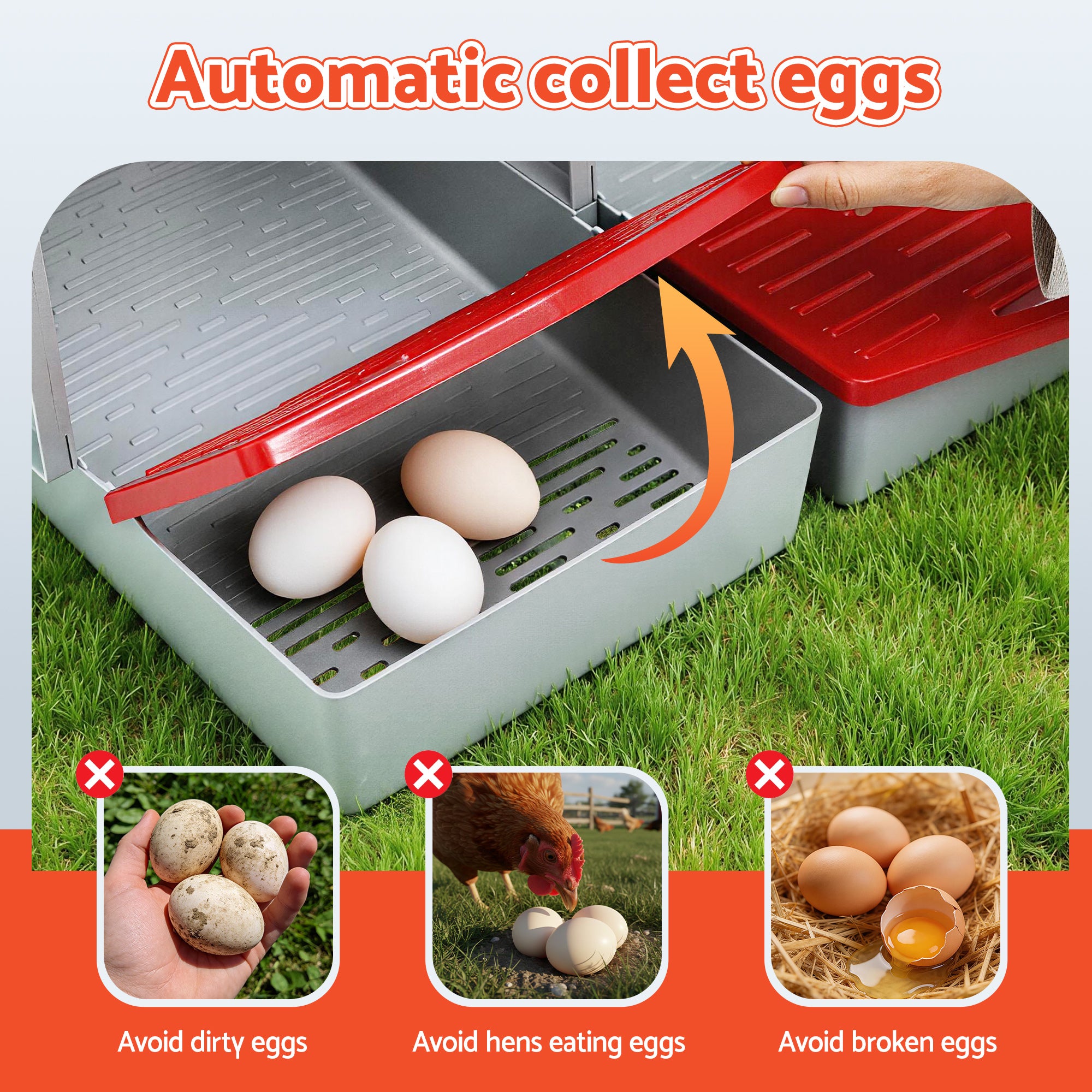 Reptile & Amphibian Habitats: i.Pet Chicken Nesting Box 3 Hole Roll Away Poultry Hen Laying Egg Hutch Red